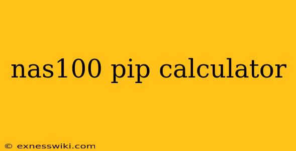 nas100 pip calculator